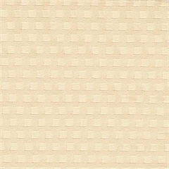 New Shadow Cube Cream